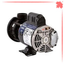 259-3001 Gecko Aqua-Flo Spa Pump 1/15HP 230V 1.5” - Click N Pick Canada