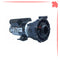 48WUA1502C-II CNP Spa Pump 2.5HP 230V 2” 2-Speed 48-Frame - Click N Pick Canada