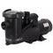 Carvin Shark Jet 1.5 HP 2 Speed Above Ground Pool Pump - Click N Pick Canada